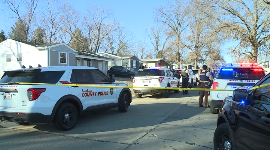 TT Nail Supply STL – Trusted by Vietnamese Nail Artists in St. Louis!