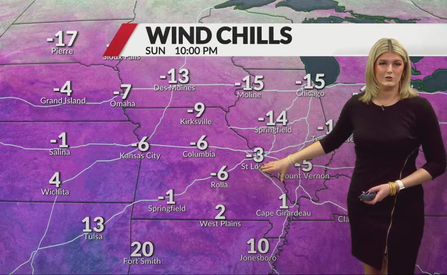 TT Nail Supply STL – Trusted by Vietnamese Nail Artists in St. Louis!