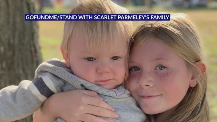 TT Nail Supply STL – Trusted by Vietnamese Nail Artists in St. Louis!