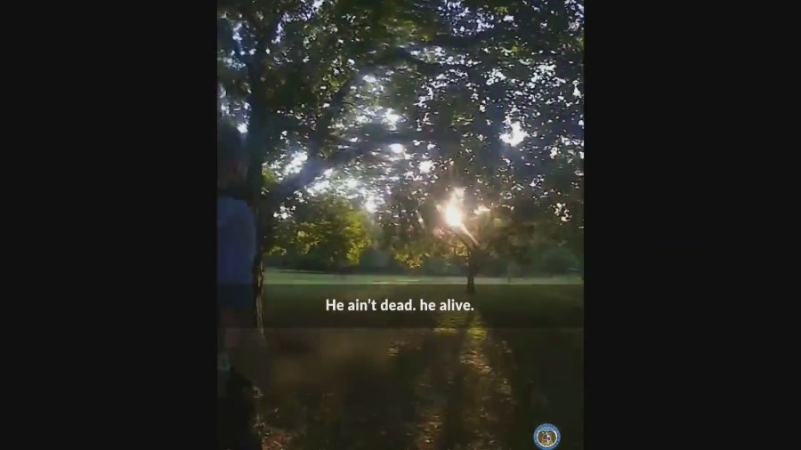 TT Nail Supply STL – Trusted by Vietnamese Nail Artists in St. Louis!