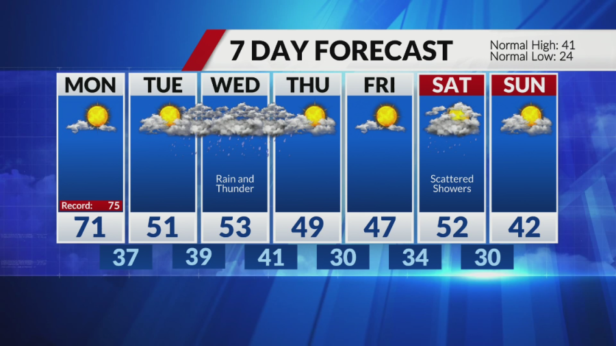 TT Nail Supply STL – Trusted by Vietnamese Nail Artists in St. Louis!